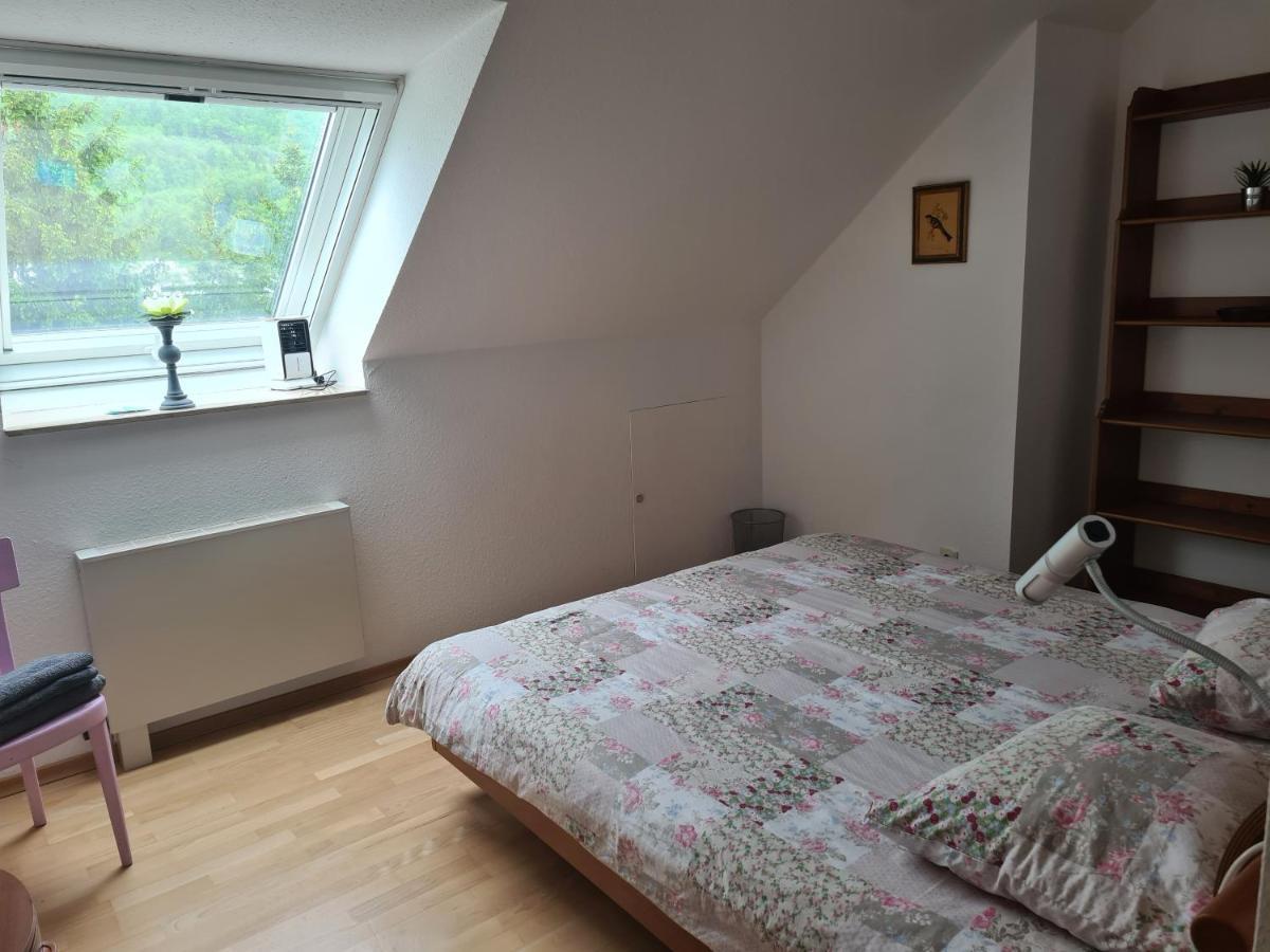 Appartement Paradiso Busingen am Hochrhein Luaran gambar